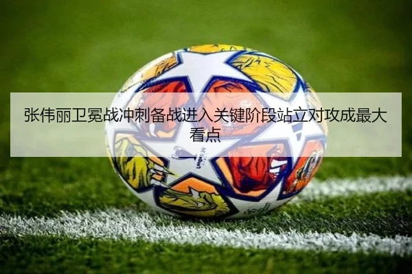 张伟丽卫冕战冲刺备战进入关键阶段站立对攻成最大看点（Yabo）